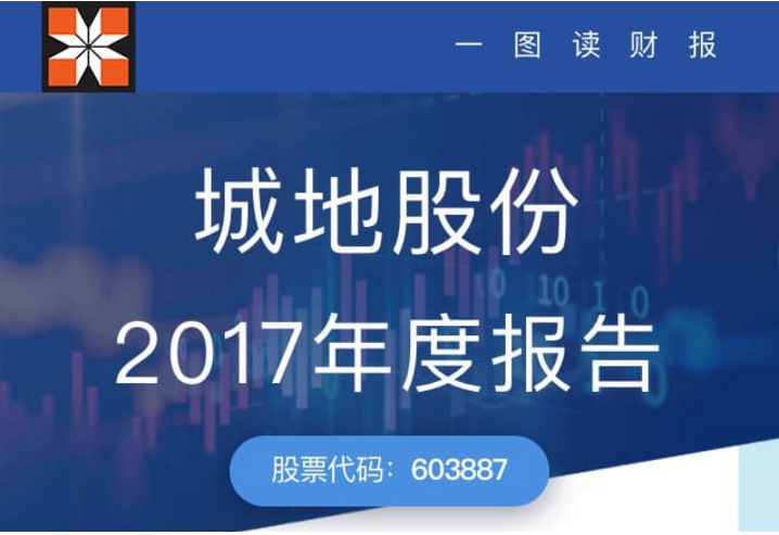 城地股份2017年度报告