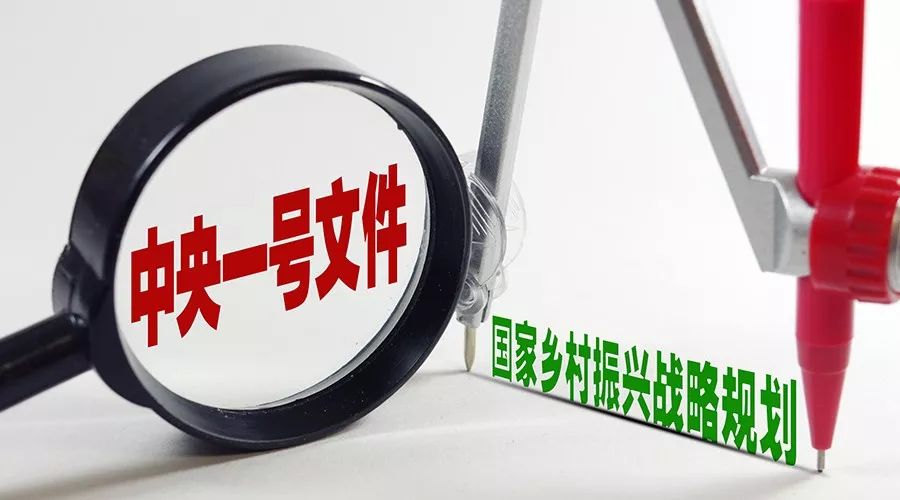 划重点！中央一号文件正式公布，这些投资机会不容忽视