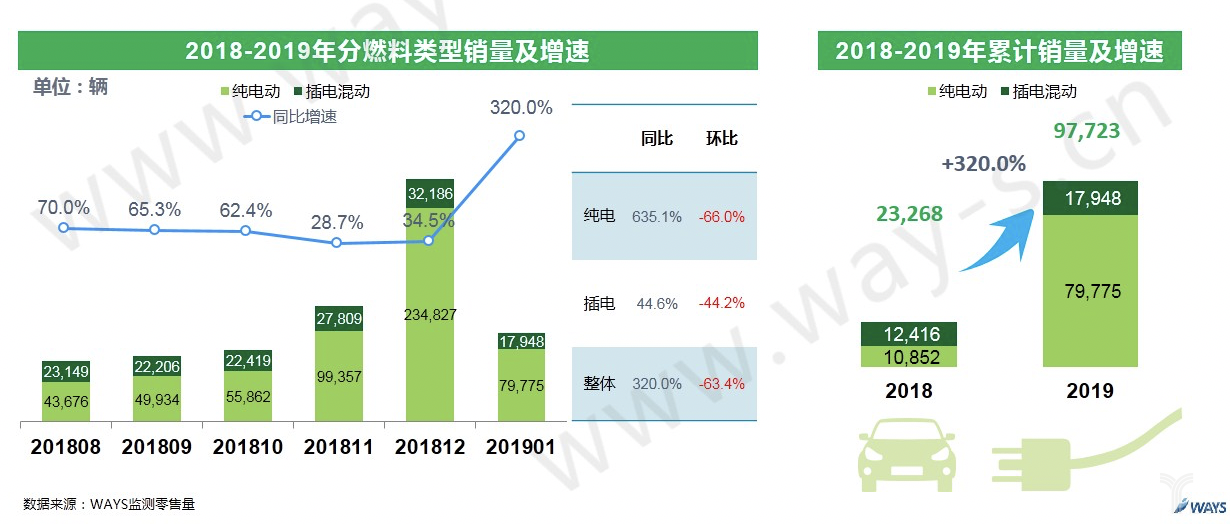 分燃料类型销量及增速表现