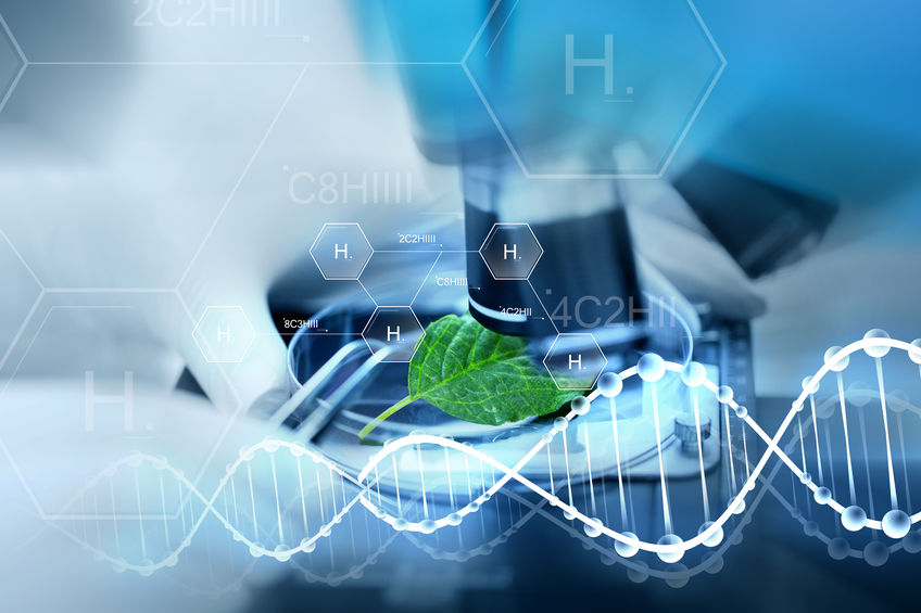 华熙生物完成科创板上市辅导