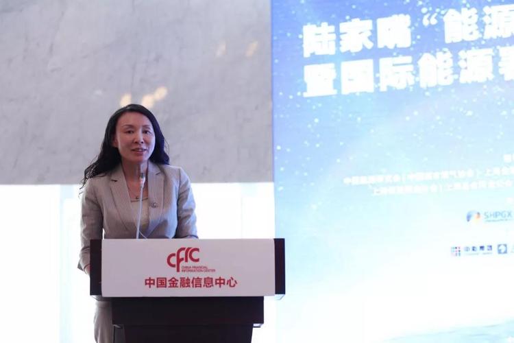金淑萍：集众智合众力 中国海油创新助力天然气产业健康发展