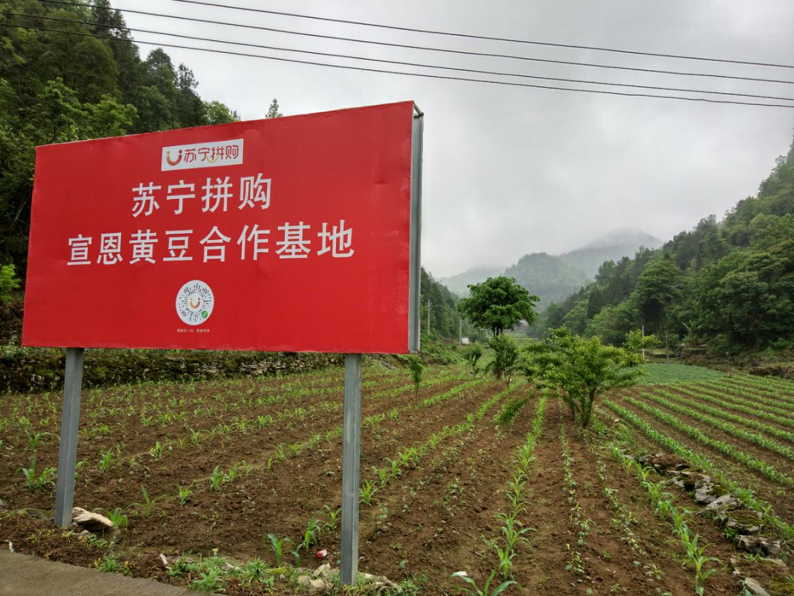 发展数字农业 推进产业富农——助力乡村振兴的电商路径