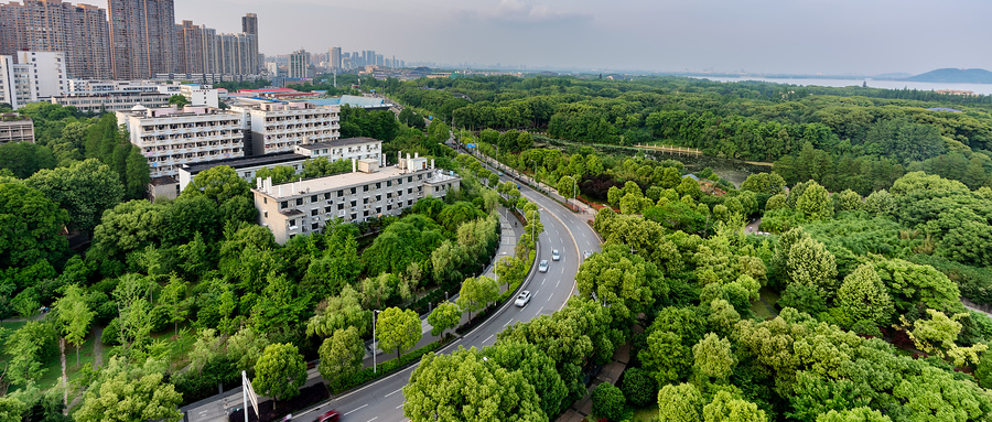 七部门：到2022年城镇新建绿色建筑面积占比达70%