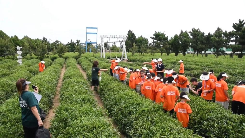 盘点暑期文旅打开方式：多元业态激活消费新动能