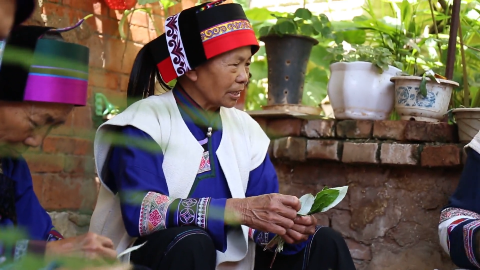 文化中国行 | 一衣洁白 一生坚守