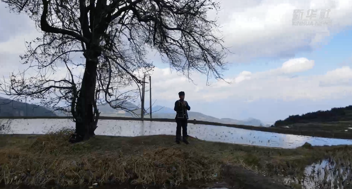 马建昌：云南哈尼梯田农耕文化的守护者