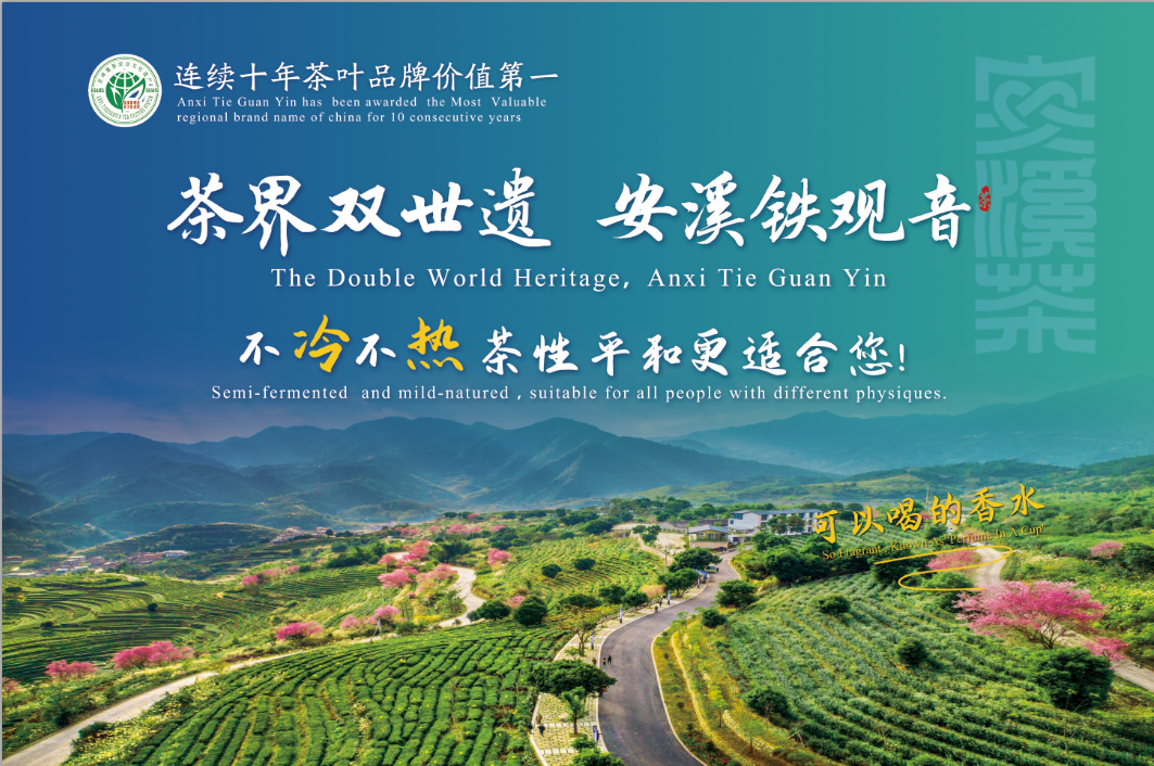 茶香漫博鳌 安溪铁观音的中和之韵与时代答卷