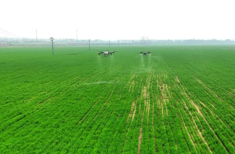 沃野千里逐春光——荆楚大地春管见闻