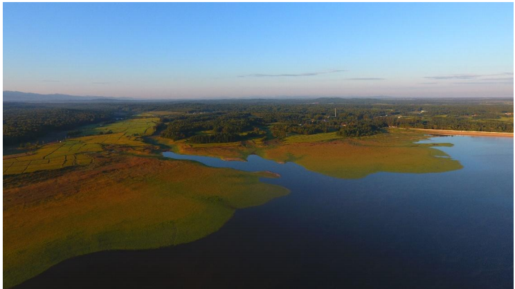黑龙江方正县：银鲫激活产业振兴新动能