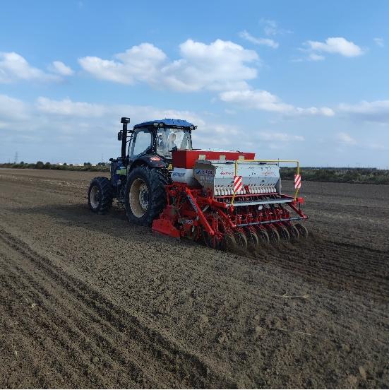 融通农发济南区域公司：创新改良盐碱地 开辟沃土富民新路径