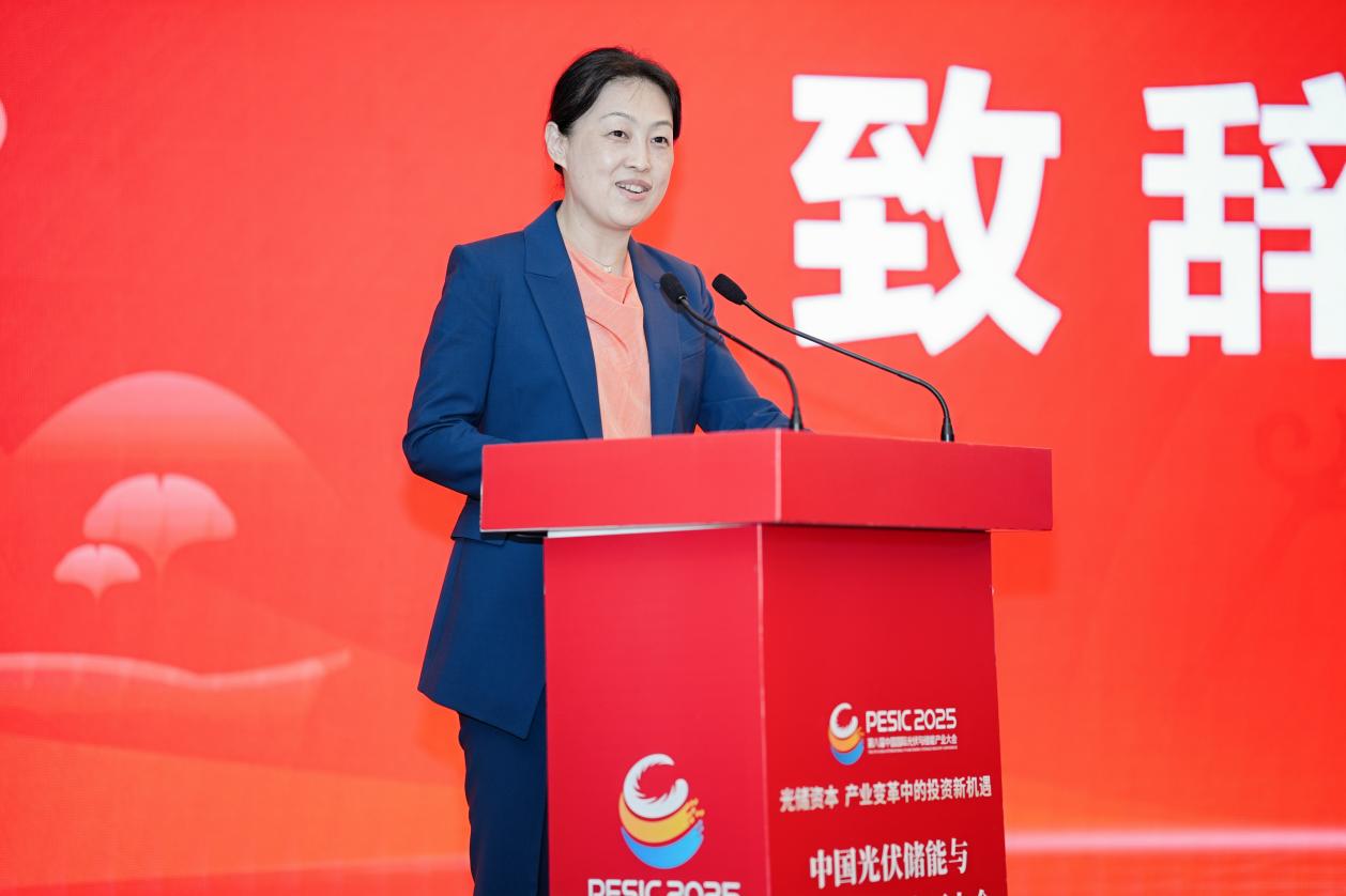 “中国光伏储能与电力市场投资百人会”在成都举行