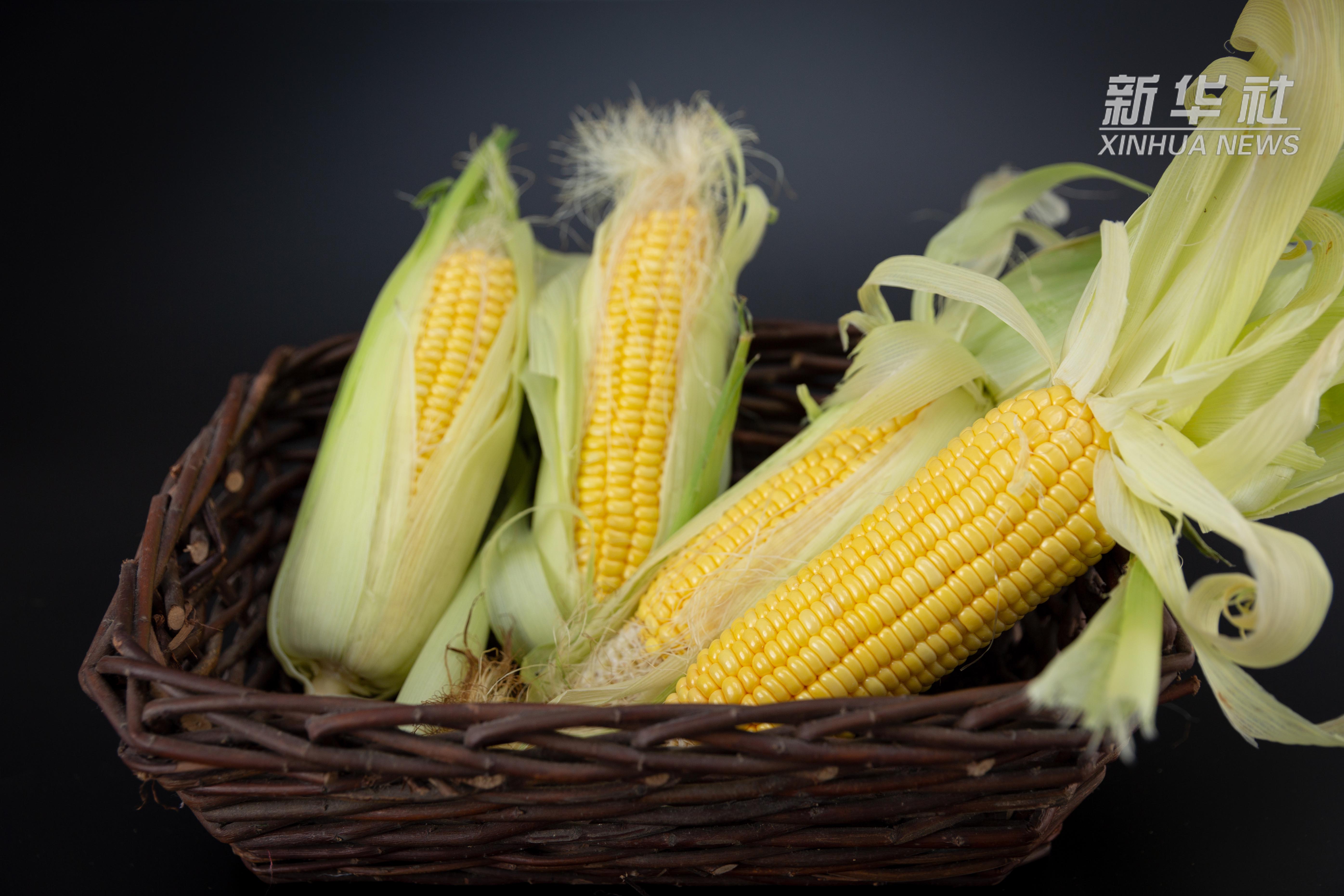 中国财富报道大豆玉米重拾涨势潜在受益上市公司有这些