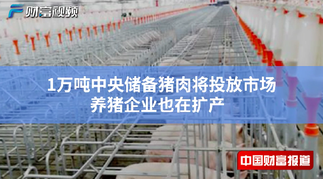 <font color='#000'>【中国财富报道】1万吨中央储备猪肉将投放市场 养猪企业也在扩产</font>