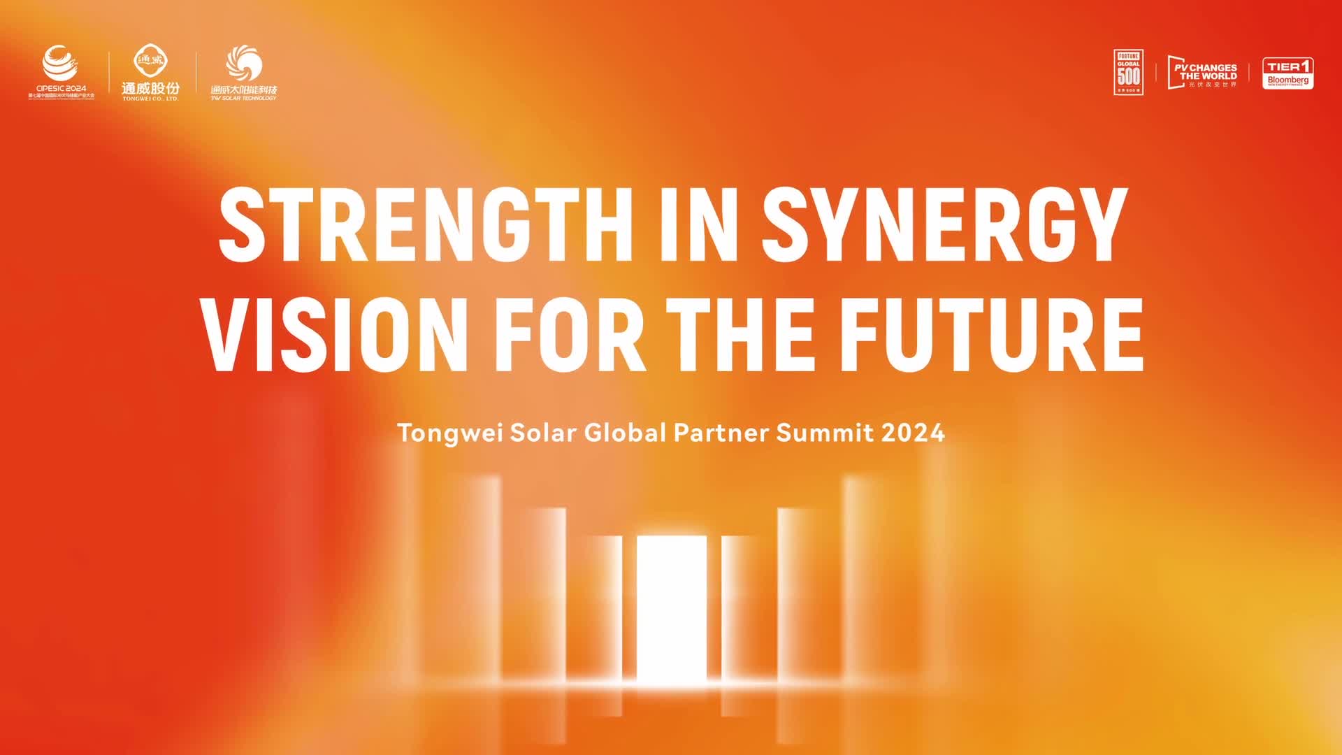 第二届通威高效组件全球合作伙伴联合发展大会（海外）精彩回顾