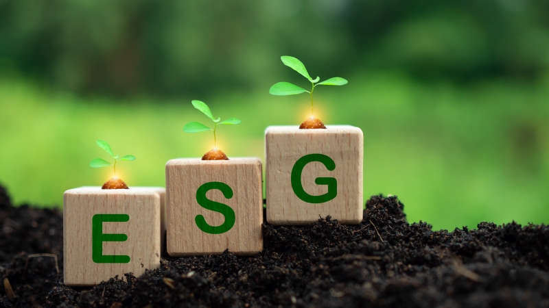 银行ESG信披：爬坡上行 痛点犹存