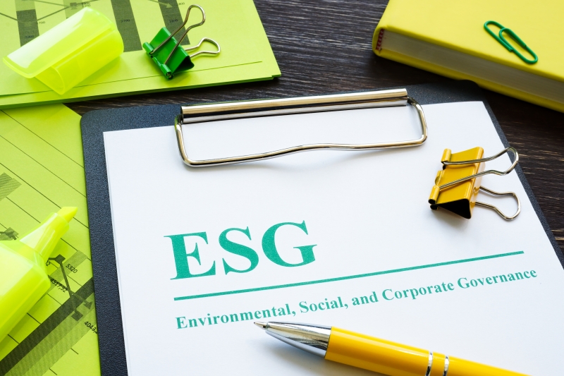 从合规行稳到价值共鸣 ESG成文化出海“导航仪”