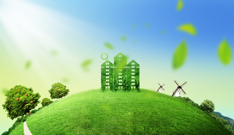 中国碳市场发展经验在贝伦气候大会受关注