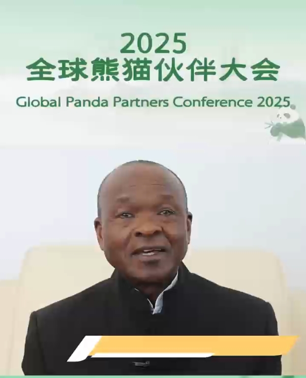 熊猫伙伴@你｜非盟委员会前副主席姆温查：期待跨越山海与你相遇