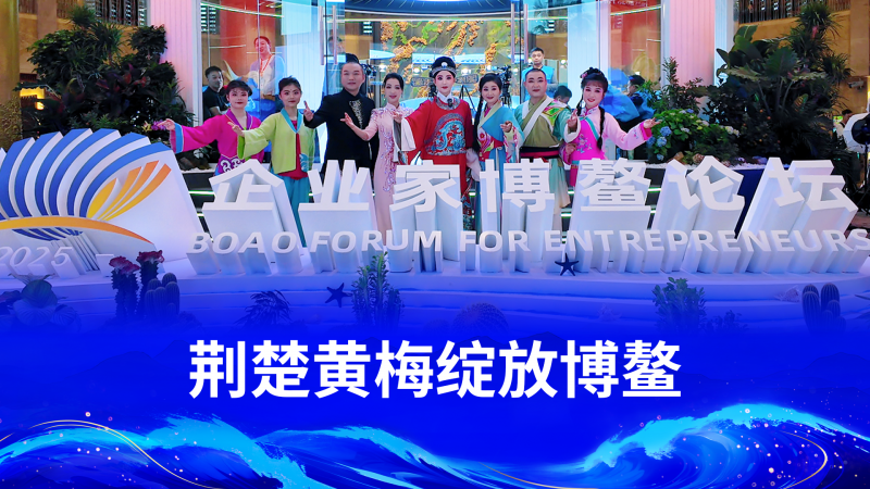 荆楚黄梅绽放博鳌