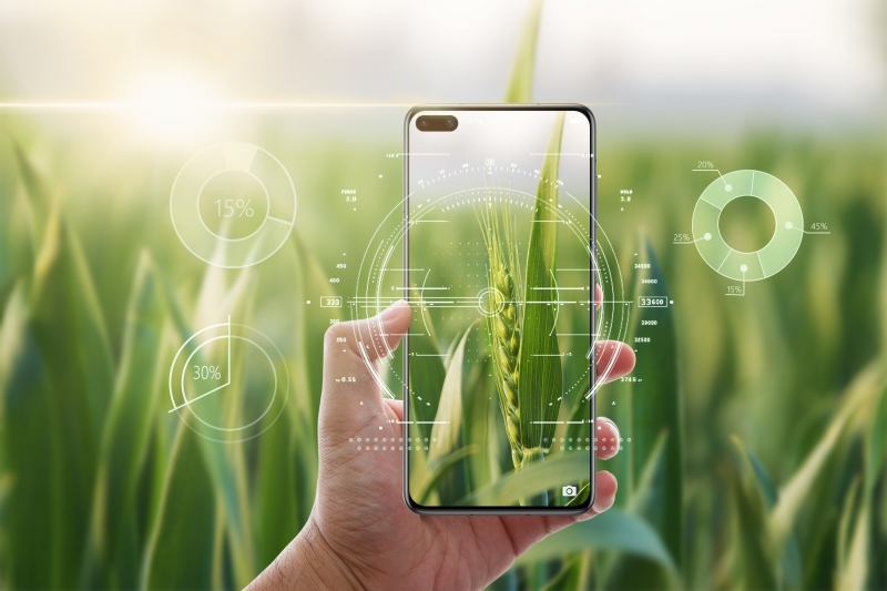 累计成交超600亿元，“832平台”助力脱贫地区乡村产业提质增效