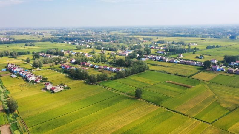 我国将稳步推进第二轮土地延包整省试点