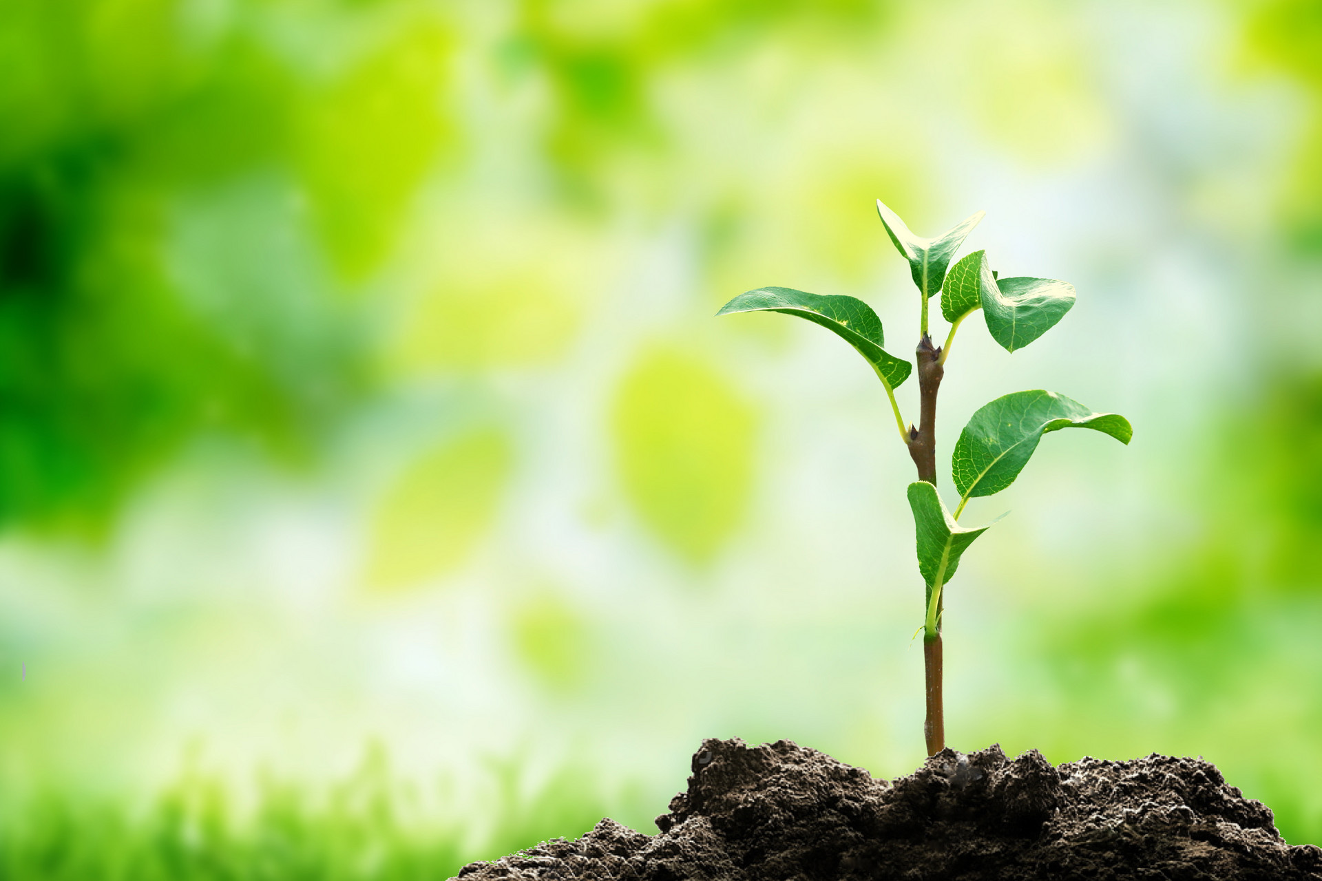 可持续信披再添实操指南 三项环境议题披露细则落地