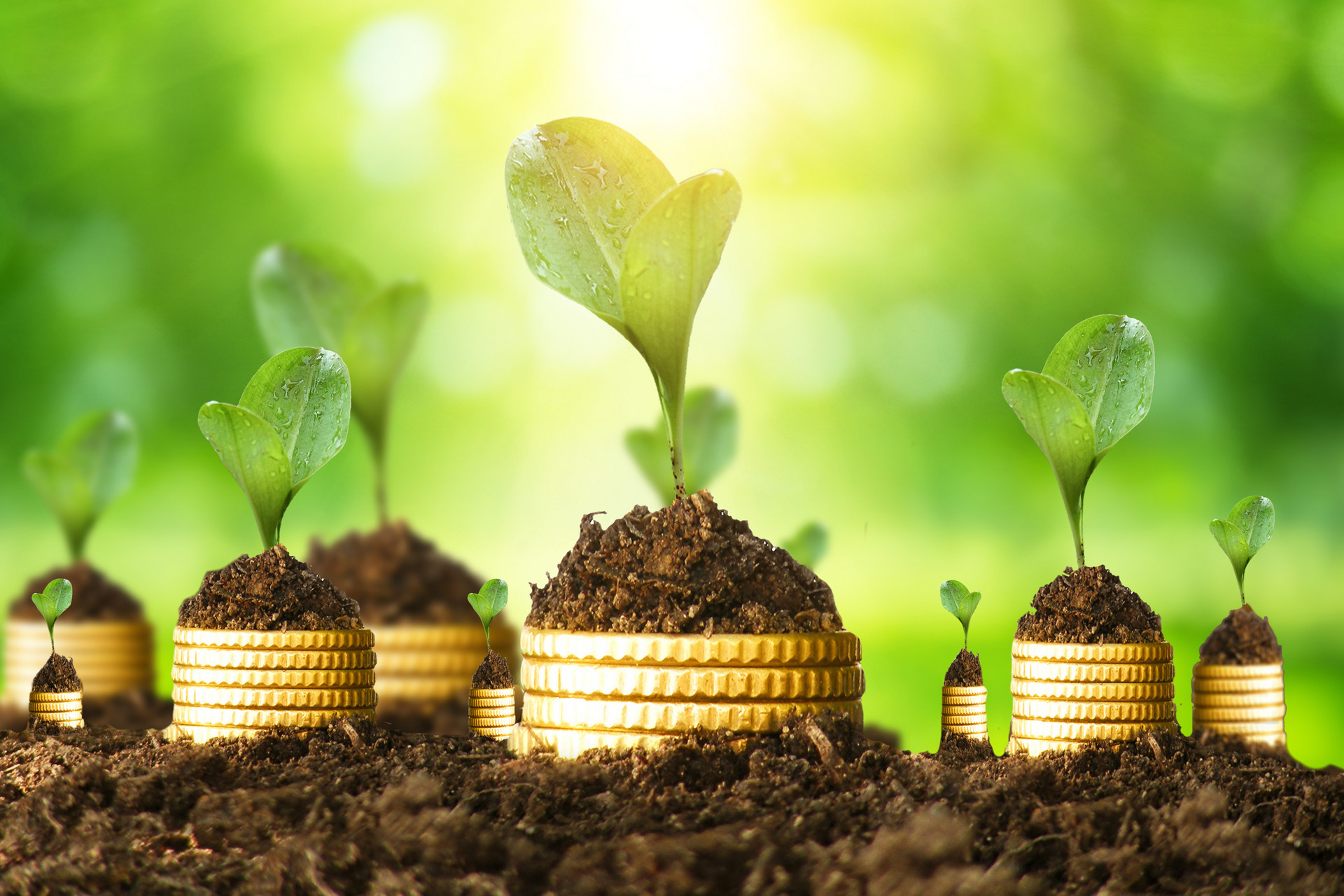 IT服务行业锚定ESG 赋能数字经济可持续发展