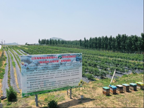 1355162383706485.png image.png