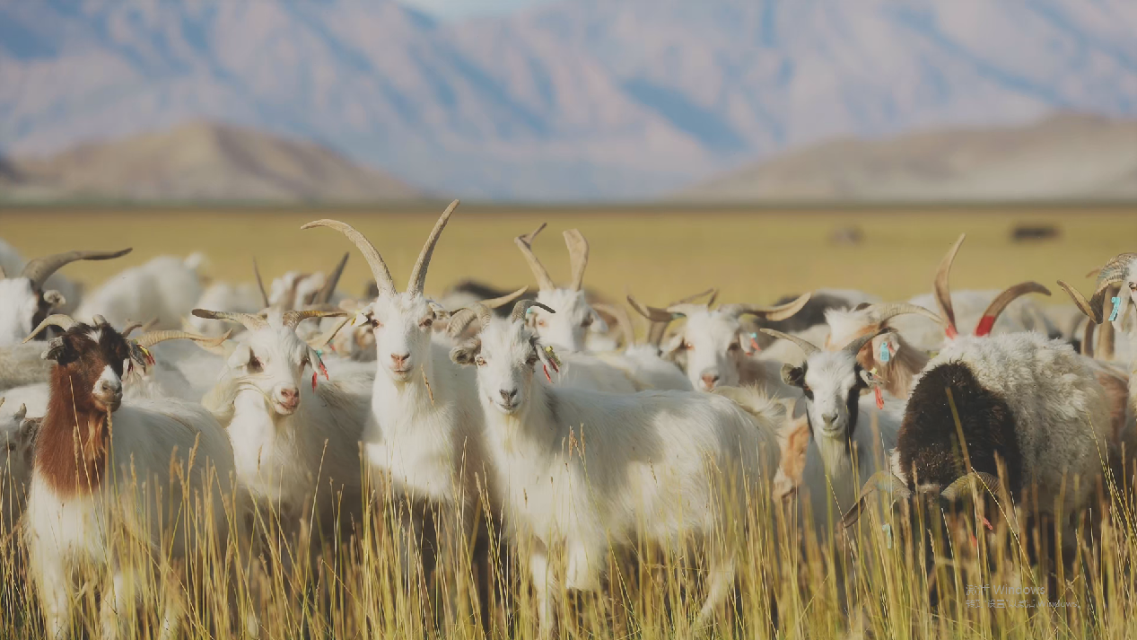 1733992250771366.png 1733992250771366.png