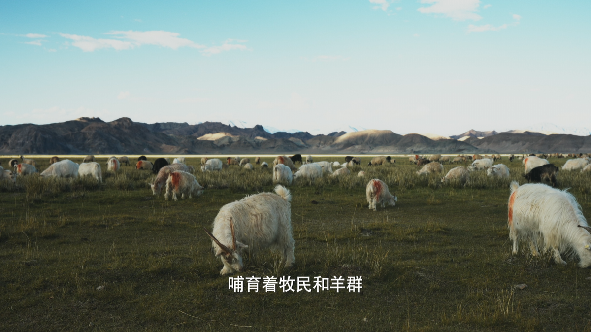 1733992263825969.png 1733992263825969.png