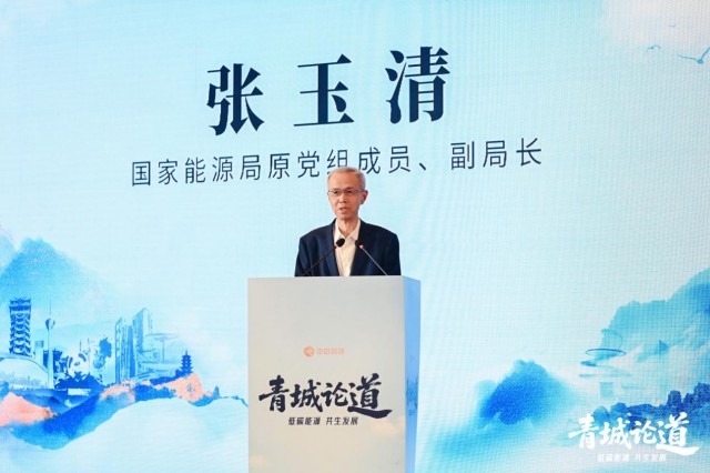张玉清：围绕实现双碳目标，发展新质生产力