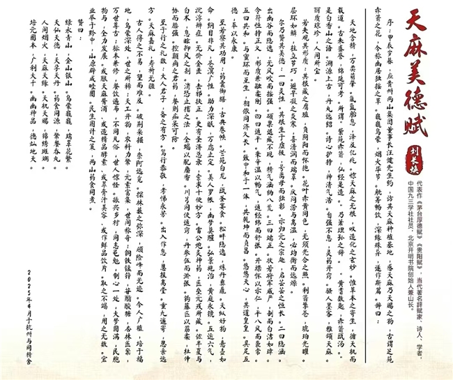 天麻开花节节高匠心共筑中国梦贵州两山天麻全产业链升级发布会启幕文化赋能+科技破局构建全球睡眠经济新生态(图2)