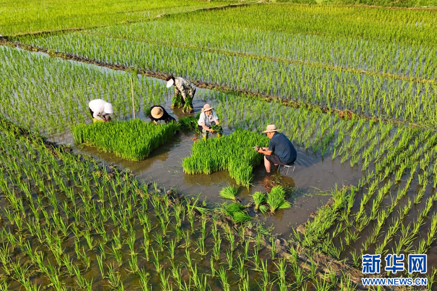 【黑料吃瓜在線吃瓜】馬斯克估計2026年有望讓瞎子復(fù)明 成績繼續(xù)穩(wěn)增加股僅9只（附名單）