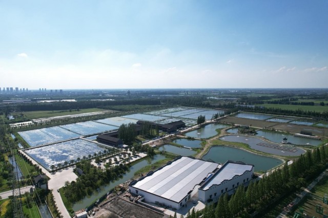 2019141856206575.jpg 3.jpg