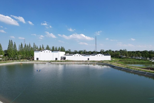 2019284215520564.jpg 4.jpg