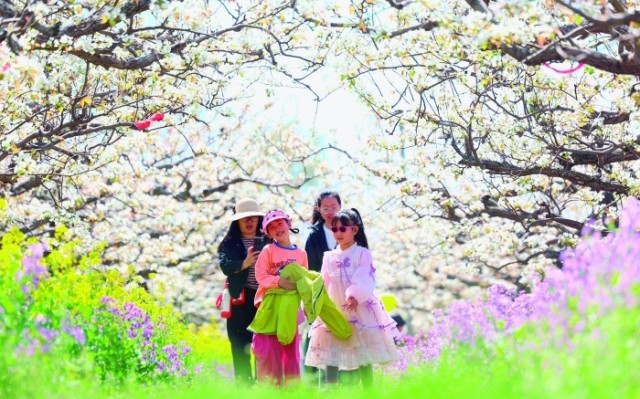 赏花经济绽放新活力 以花为媒打造假期消费新场景