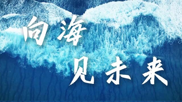 向海，见未来