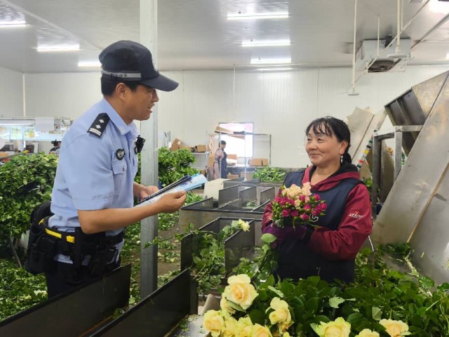  年产鲜切花逾10亿枝 这片“花花世界”有他们守护